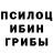 Галлюциногенные грибы мицелий Petro Dmytryshyn