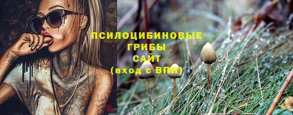 a pvp Абинск