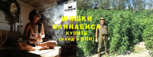 PSILOCYBIN Абдулино