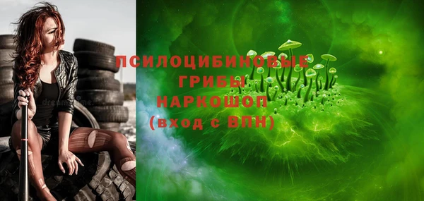 соль ск Тавда